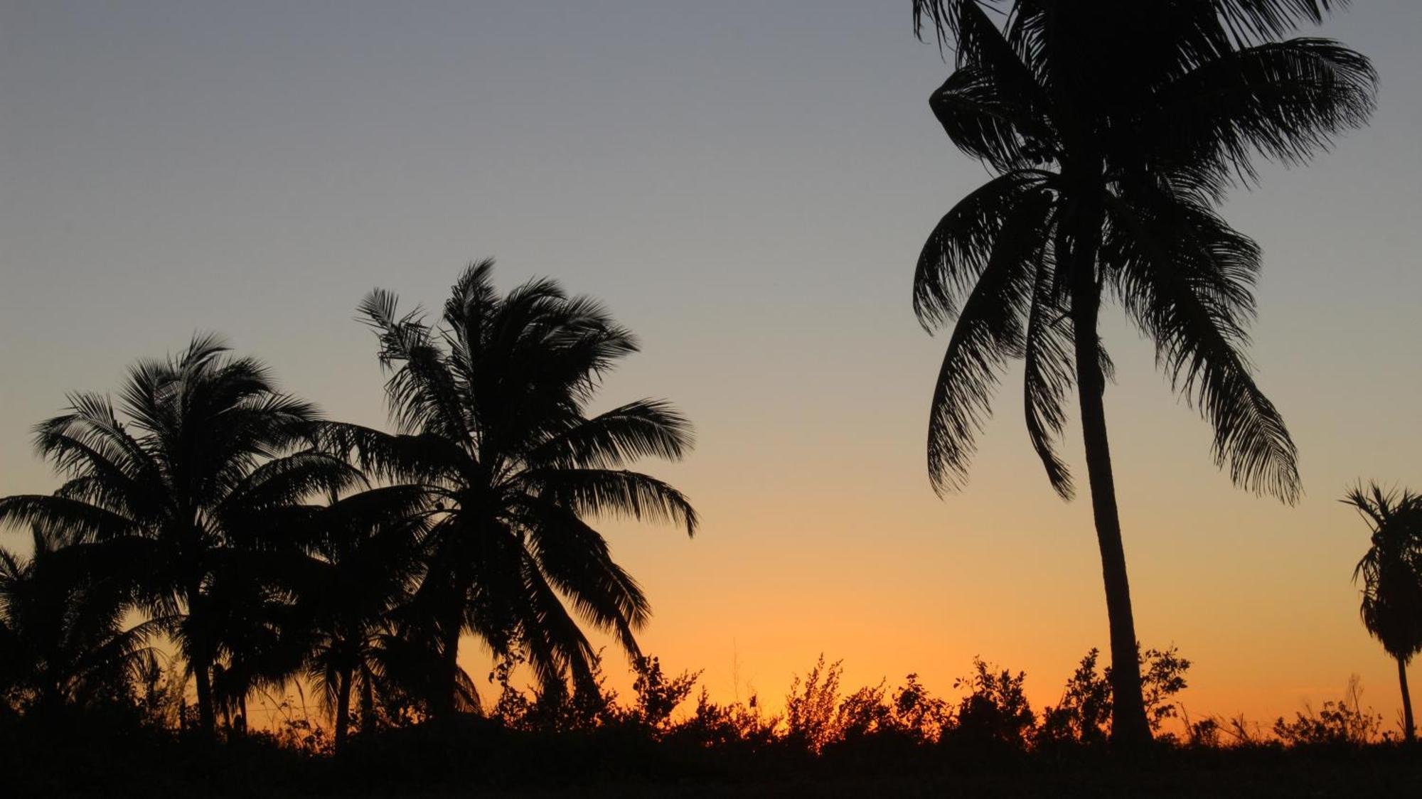 Ikarus Costa Mujeres Eco Lodge Sunset View Cancun Exterior photo